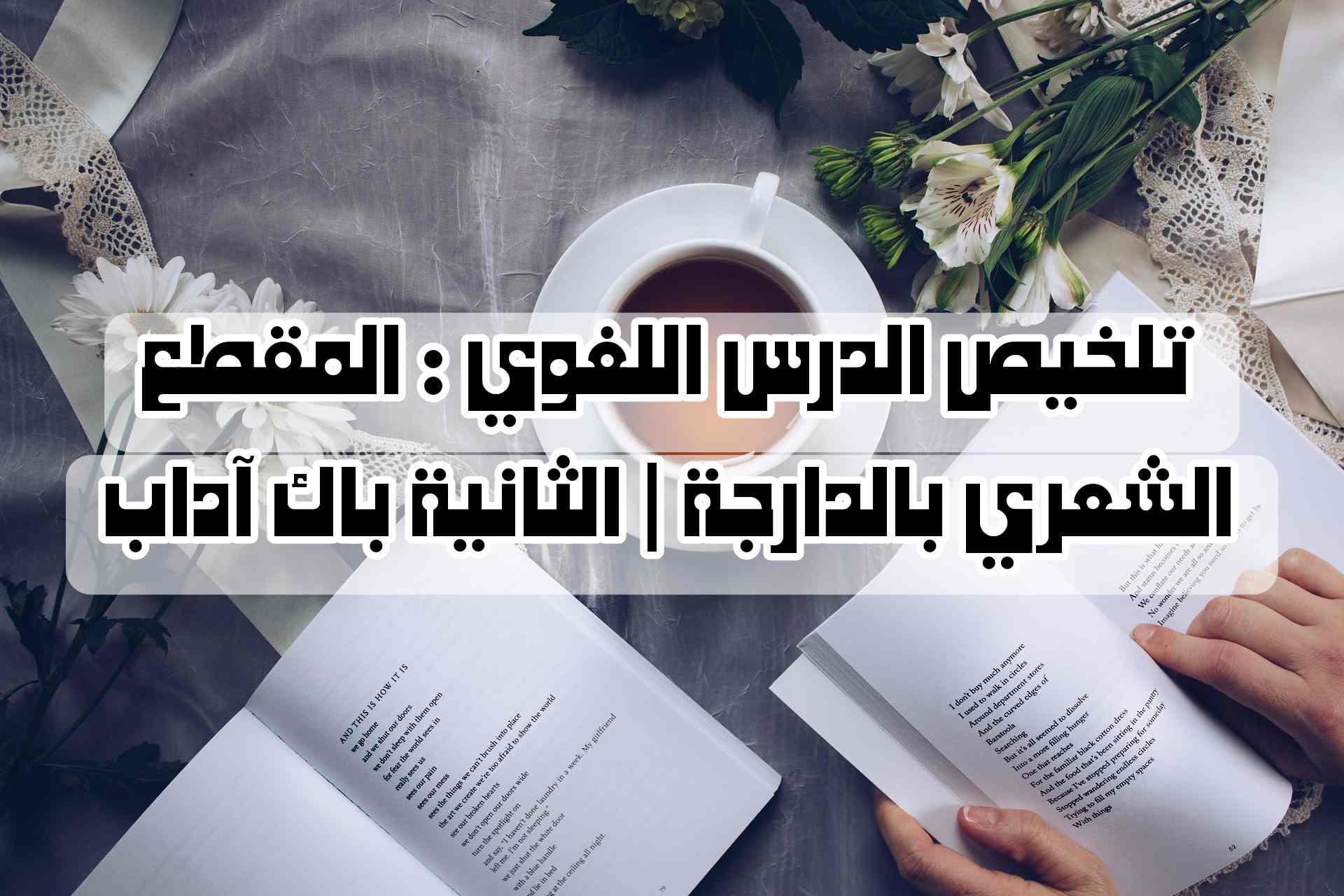 تلخيص الدرس اللغوي : المقطع الشعري بالدارجة | الثانية باك آداب